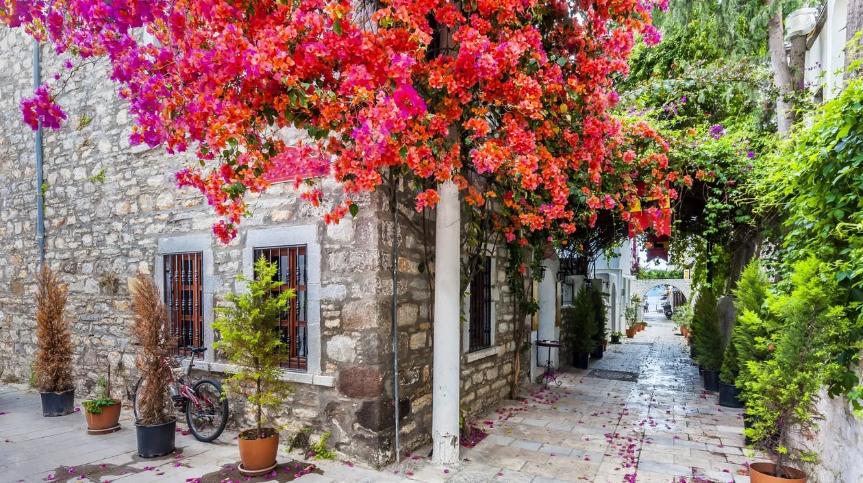 Bodrum street