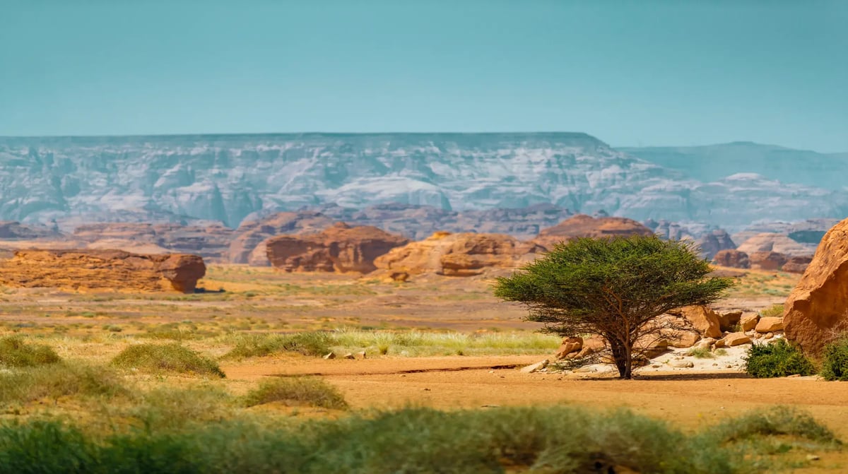 AlUla Saudi Arabië vergezicht