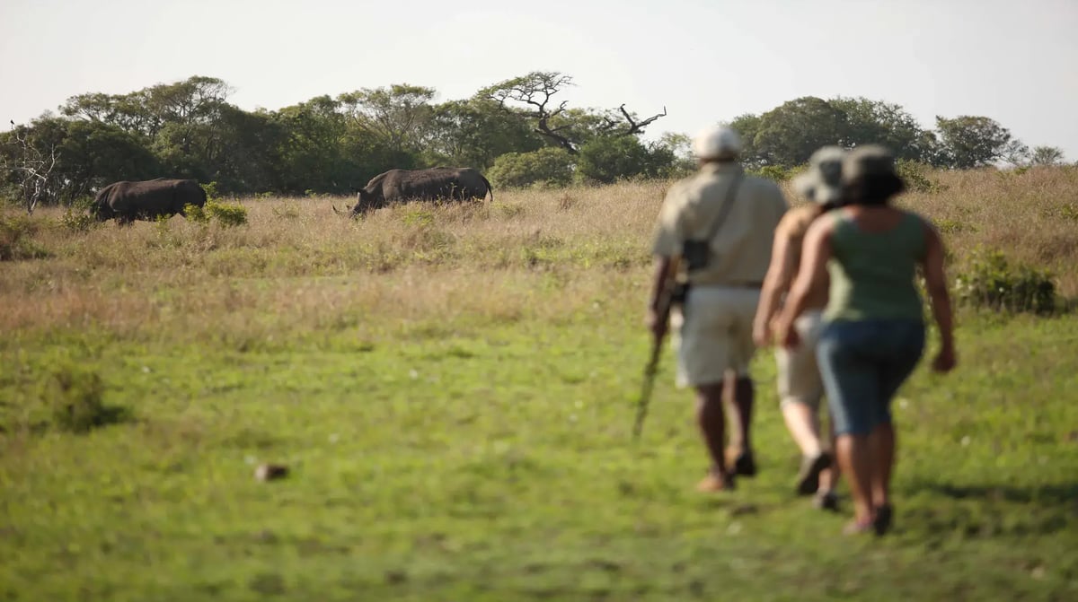 South Africa Phinda Mountain Lodge bush walk rhino