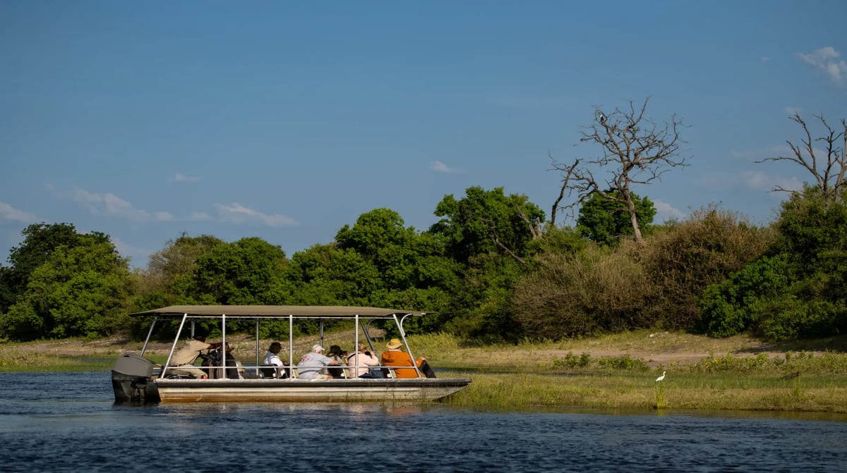 Zambezi Queen Game viewing 2