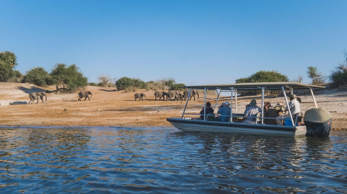 Zambezi Queen Game viewing