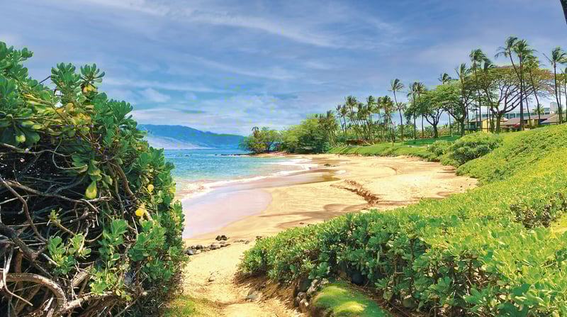 Cruise naar Hawaii en de Stille Zuidzee