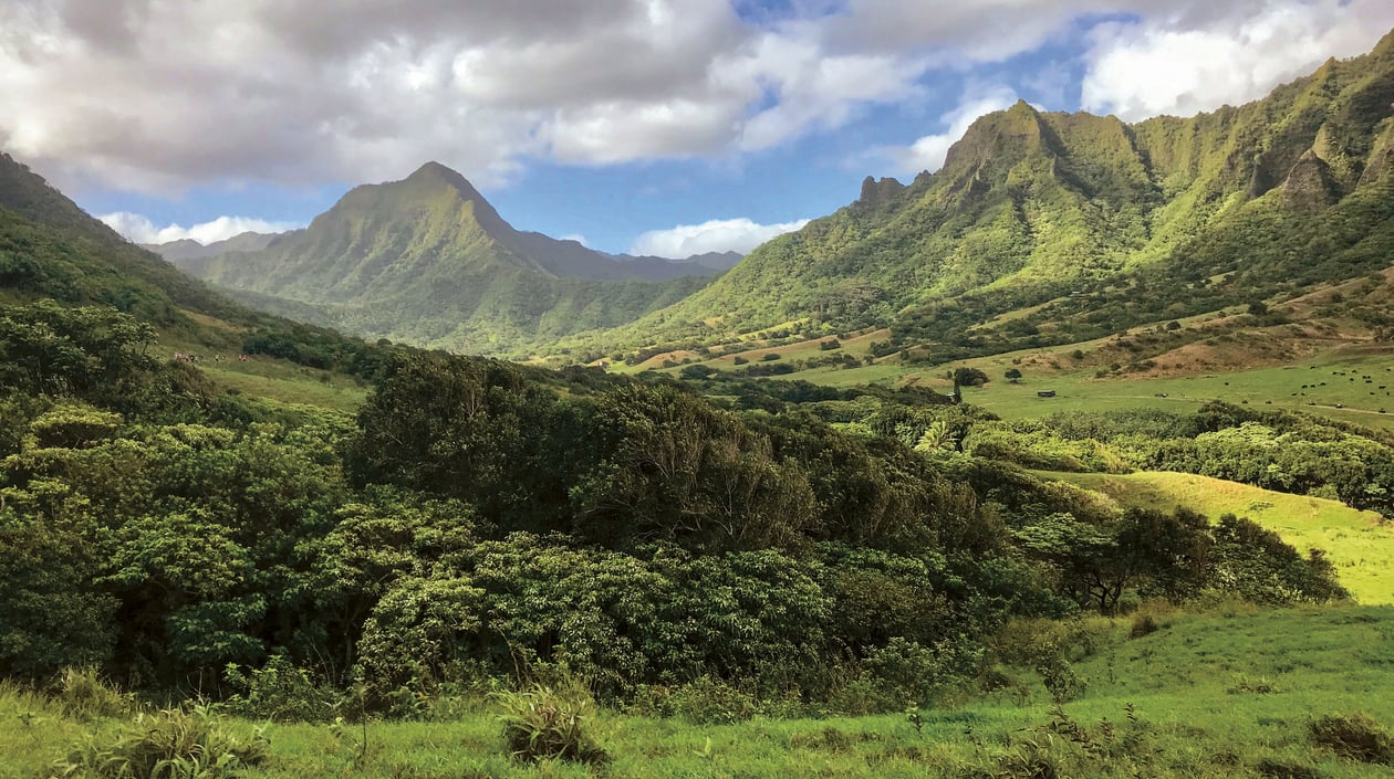 Hawaii (5)