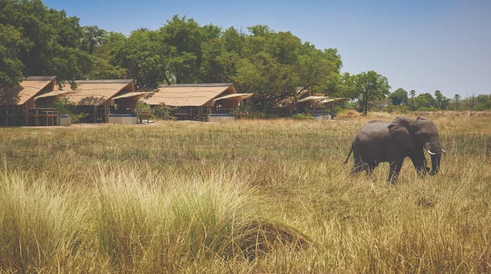 Belmond Eagle Island Lodge lodges with elephant