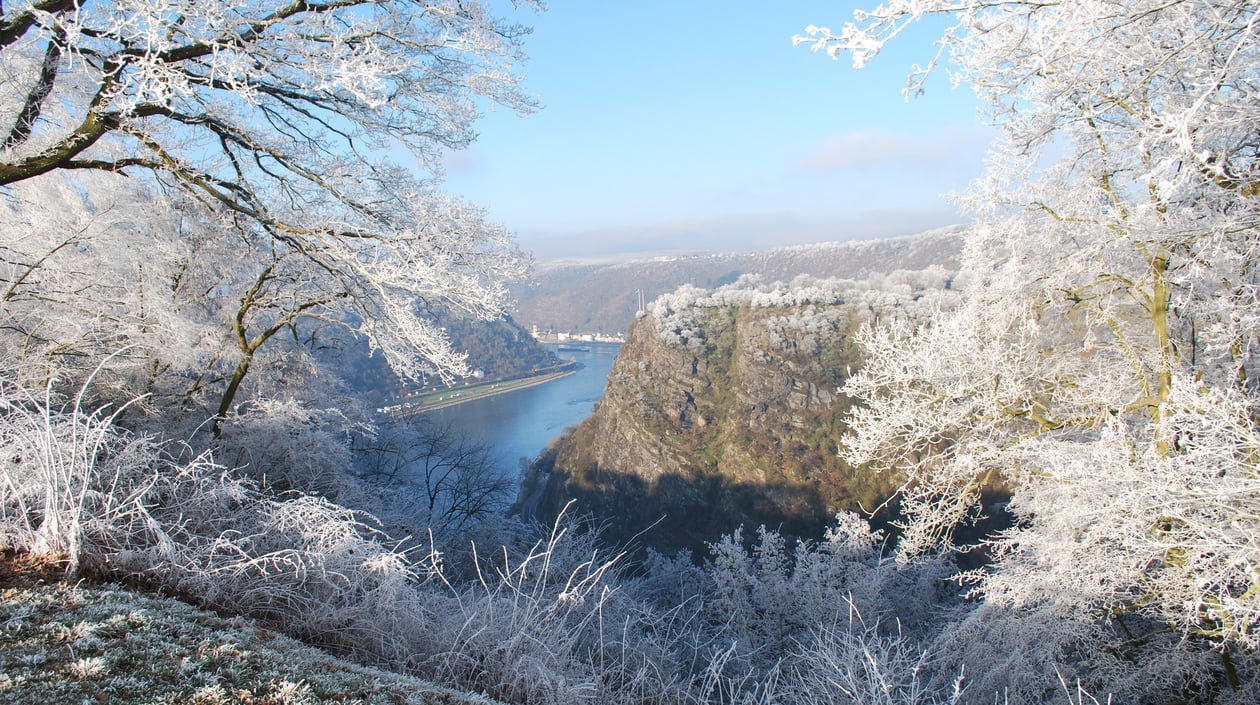 Lorely Rhine winter