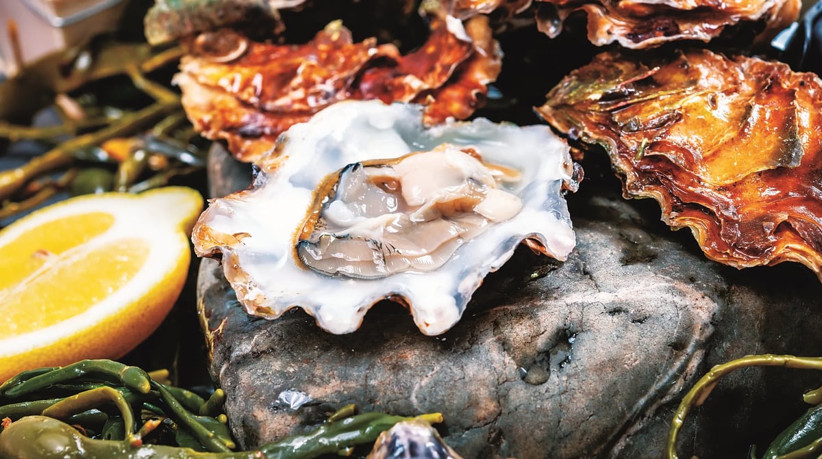 Oester
