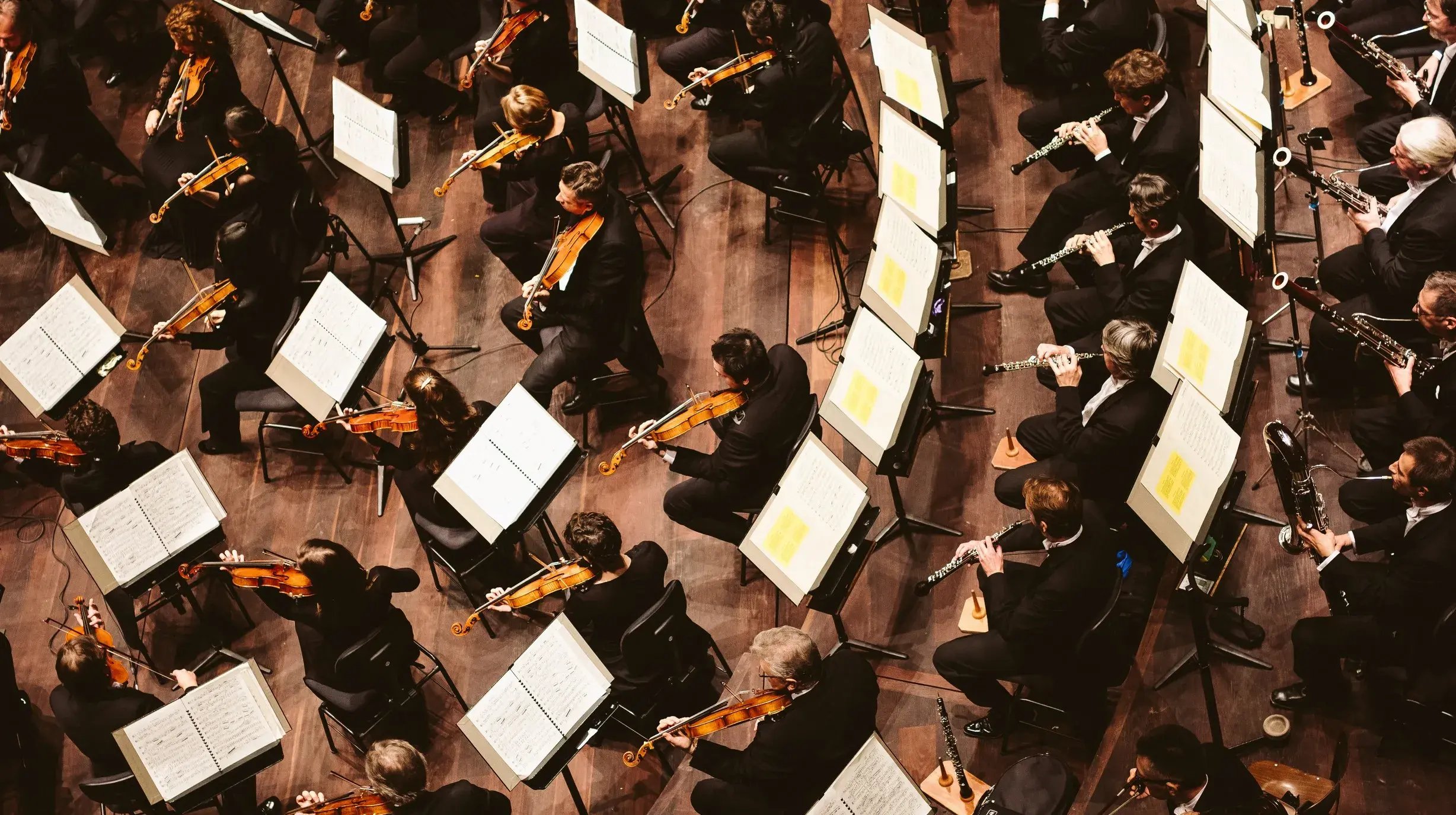 Antwerp Symphony Orchestra 3 c_ Jesse Willems & Antwerp Symphony Orchestra