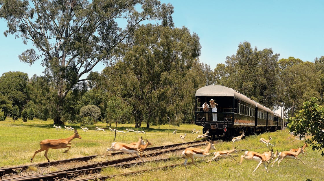 22. Rovos Rail safari