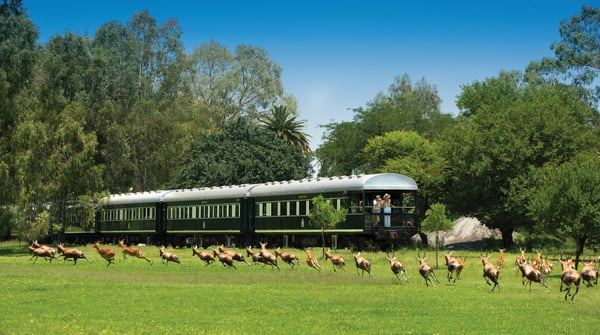 Rovos Rail koppel op balkon 2