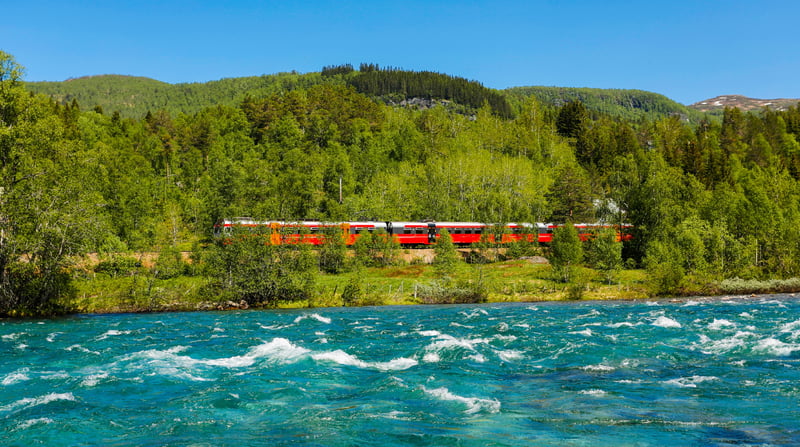 Noorse fjorden per trein en luxe cruise