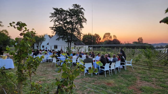 KIEVITS KROON - VINEYARD