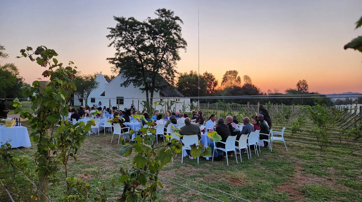 KIEVITS KROON - VINEYARD