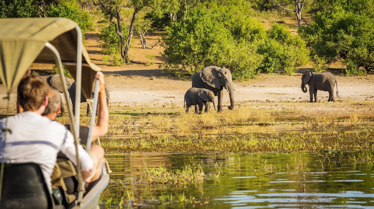chobe national park 2