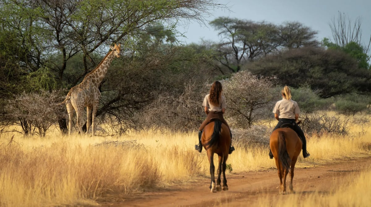 Game drive per paard