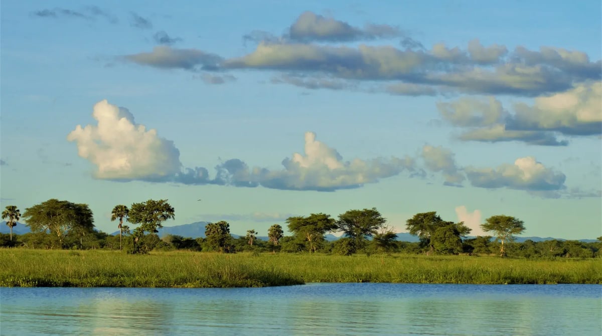 Liwonde National Park