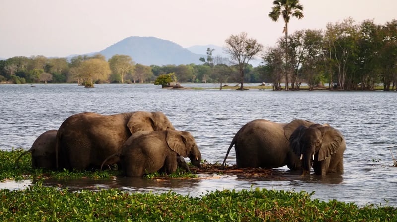 Malawi Meander