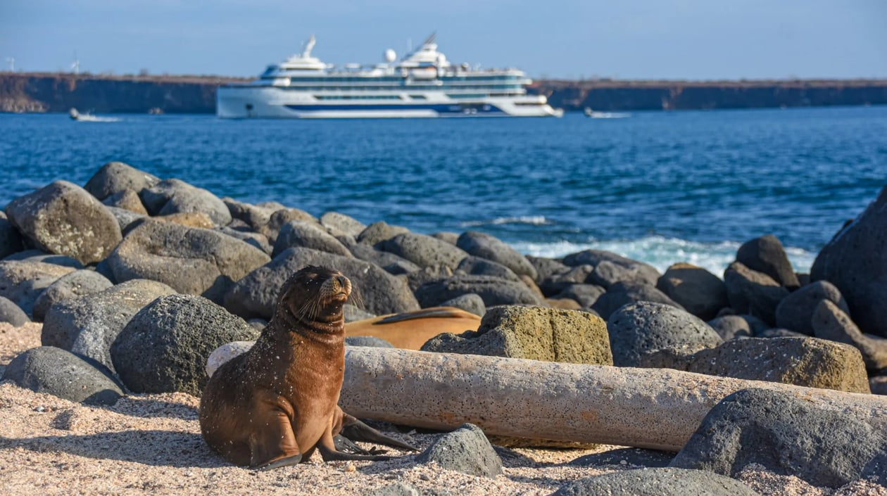 Celebrity Flora - Galapagos (1)