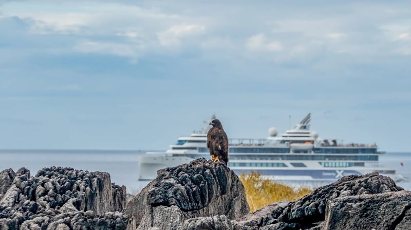 Celebrity Flora - Galapagos (2)