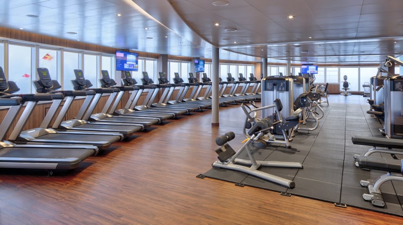 Cruise de Rotterdam