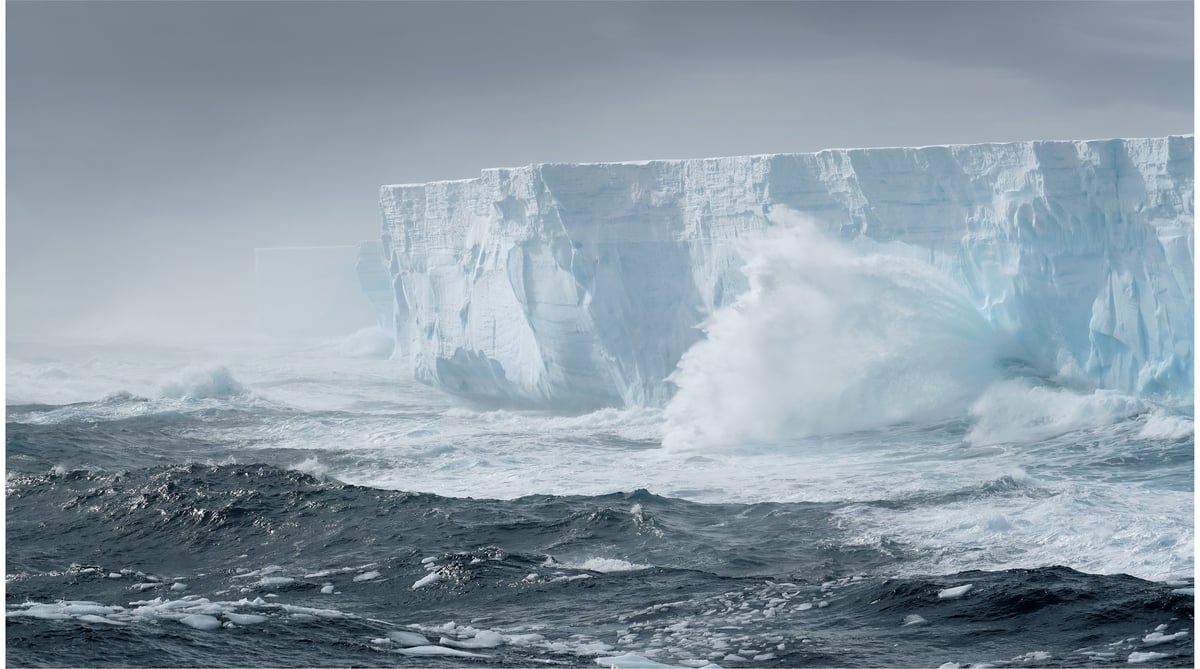 L'Austral
