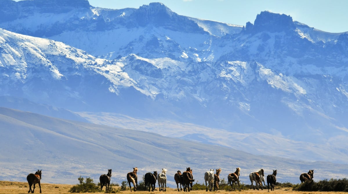 Patagonie_ToressDelPaine©StudioPonant_MorganeMonneret