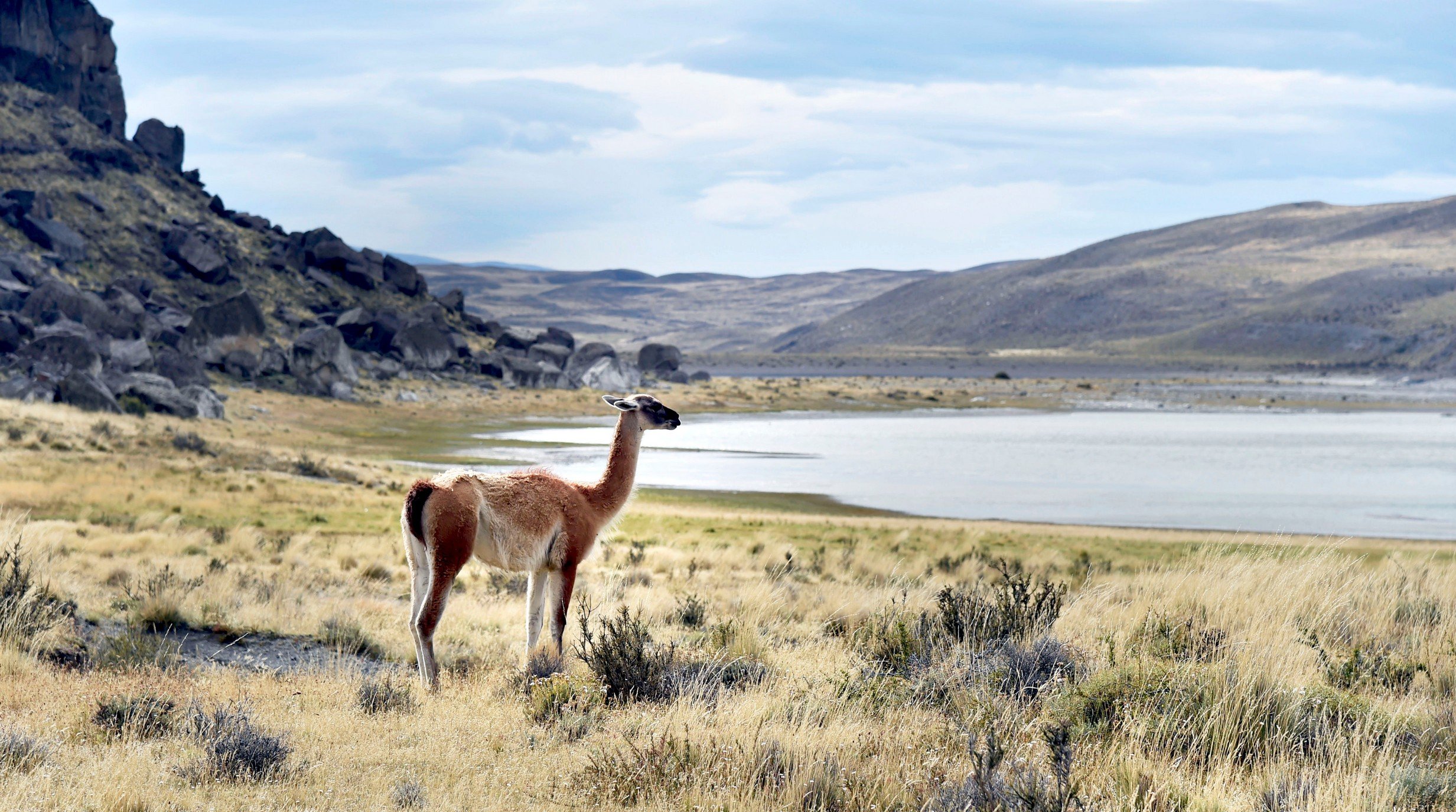 n°-647_B070318_Torres-Del-Paine©StudioPONANT-Lea P