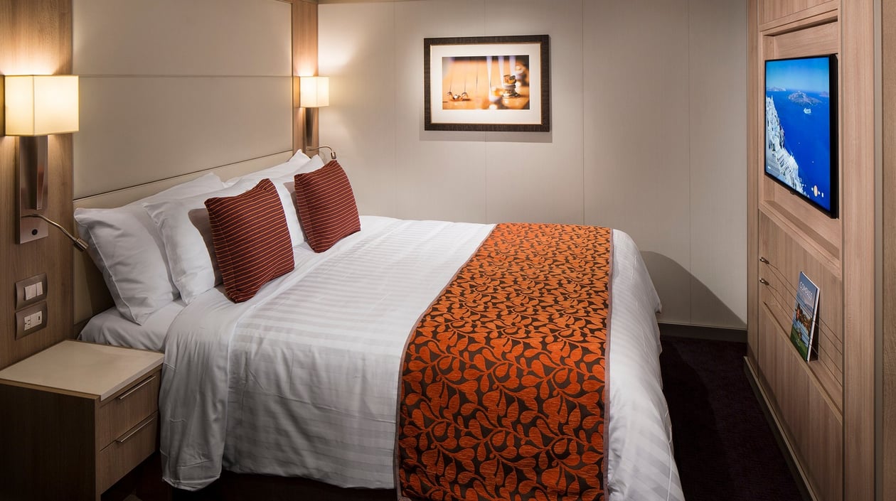 KODM16_InteriorCatJ_MV16