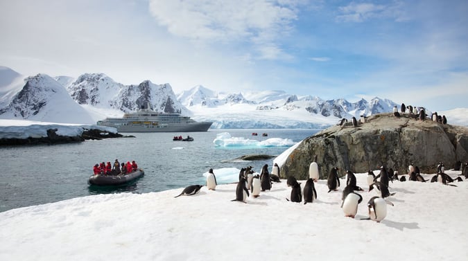 Imposante droomreis: op expeditie in Antarctica