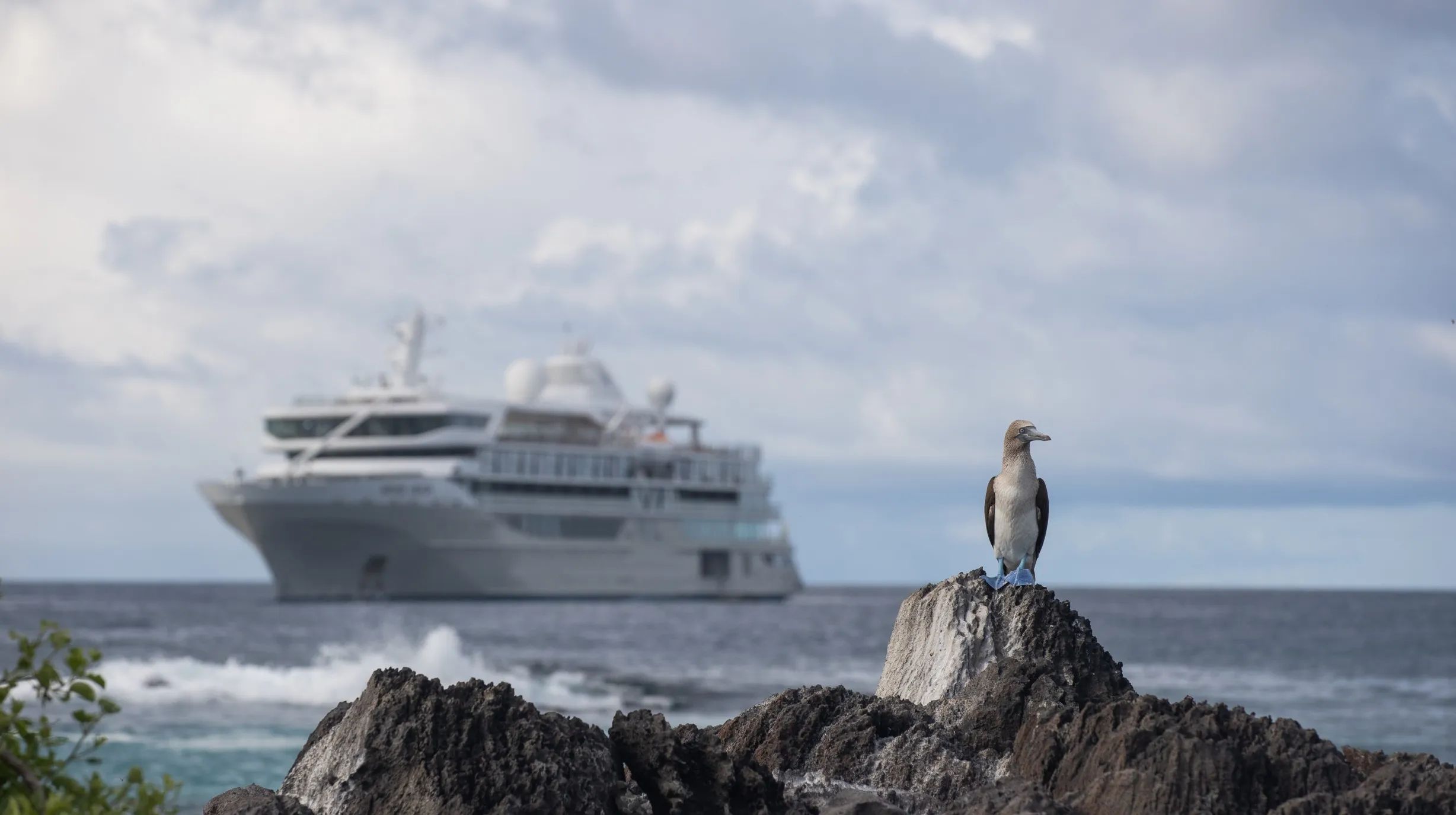 Silversea - Silver Origin (2)