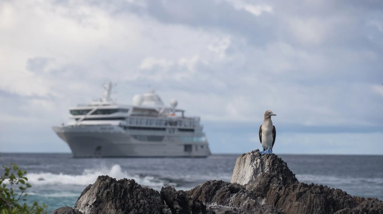 Silversea - Silver Origin (2)