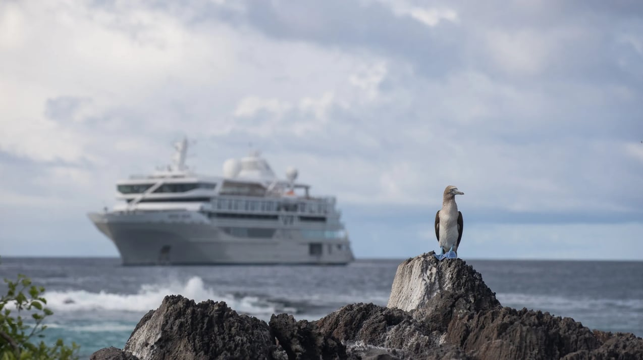 Silversea - Silver Origin (2)