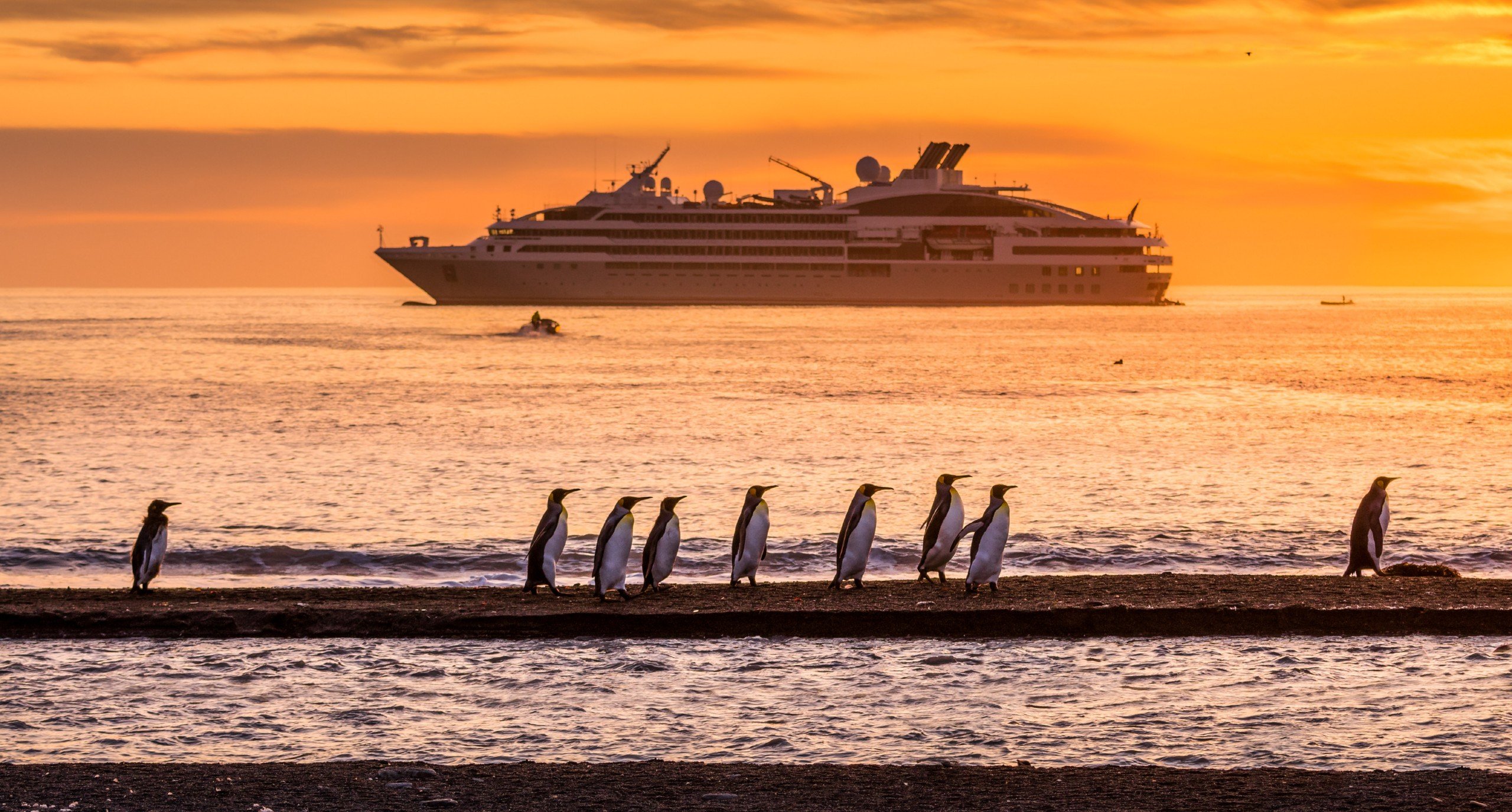Ponant schip met pinguin