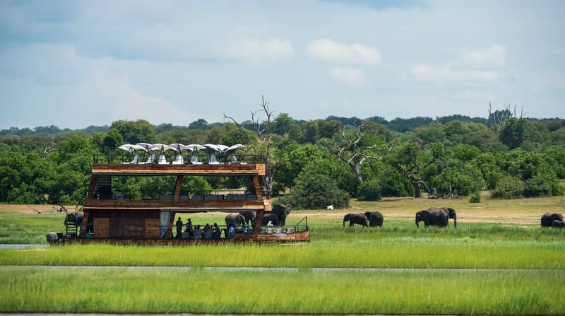 Chobe Explorer intro