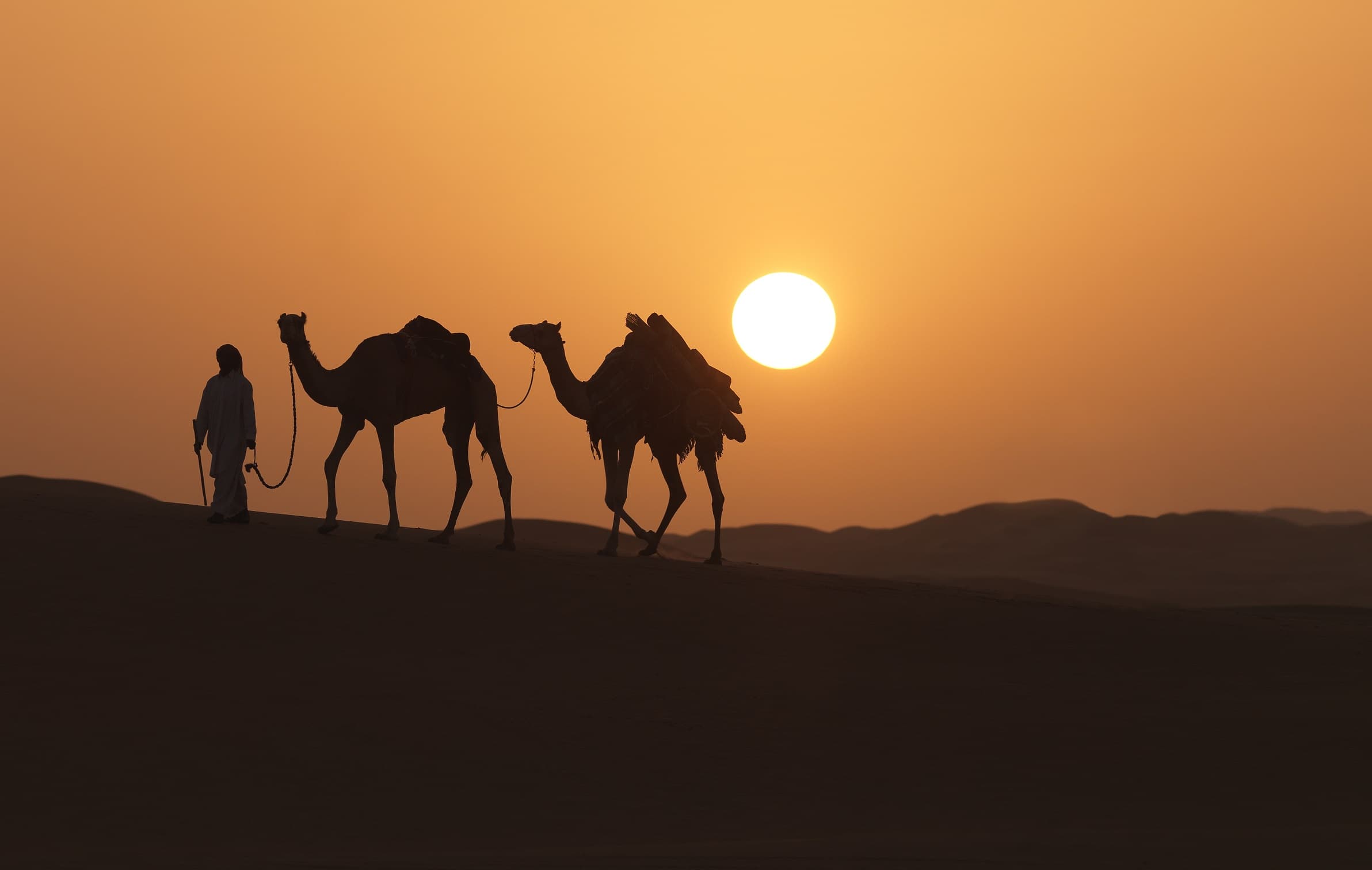 kamelen