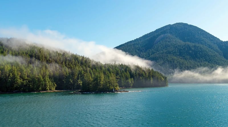 Cruise naar de Poolcirkel in Alaska