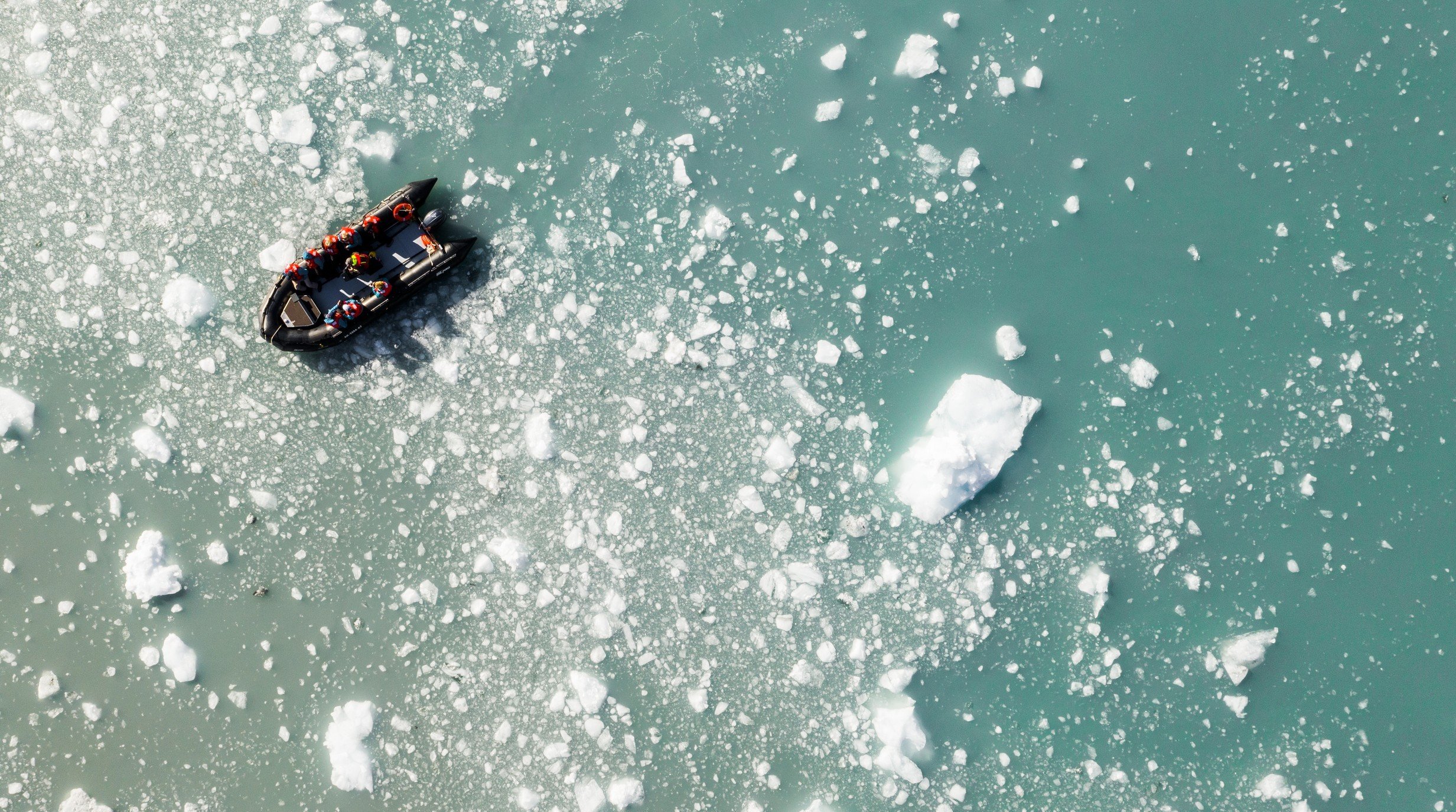 Seabourn Zodiac, College Fjord, Alaska