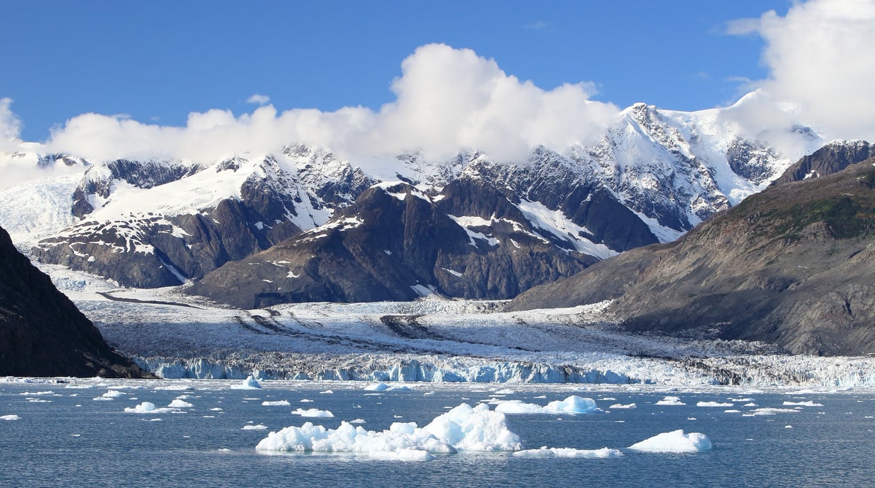Valdez (1)