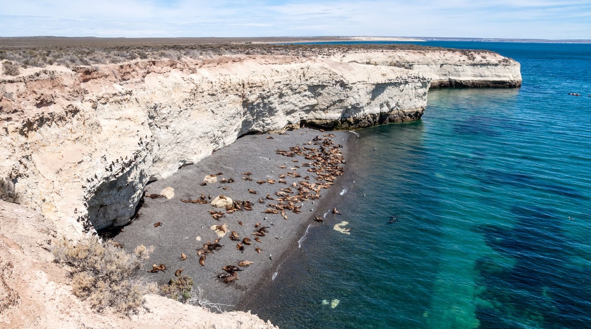 Puerto Madryn 1