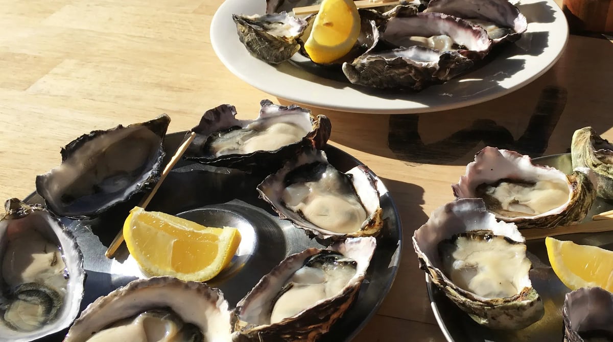 Bruny Island oyster tasting shutterstock_794558899 - kopie