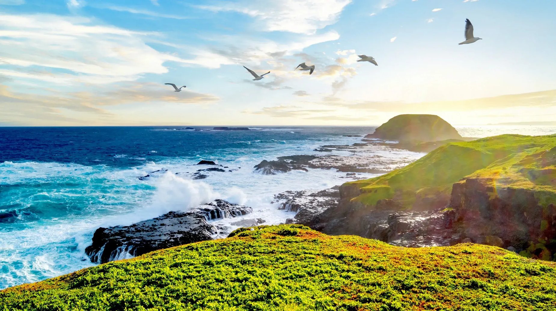 Philip Island shutterstock_2475306437 (1)