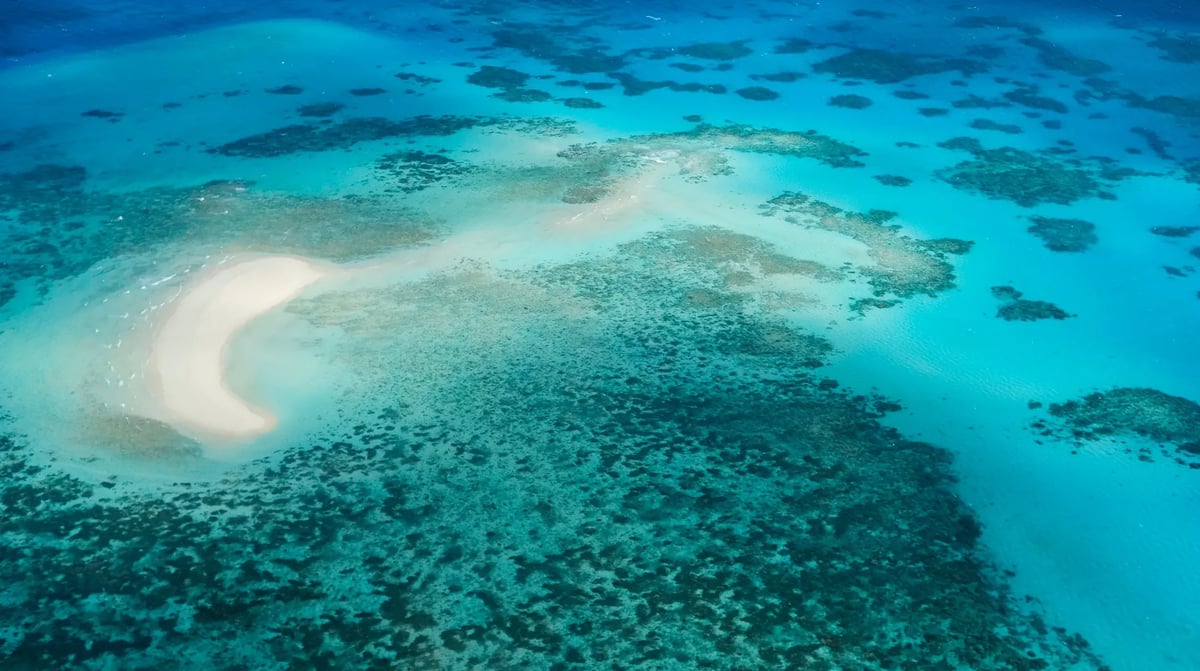shutterstock michaelmas cay_2273565419