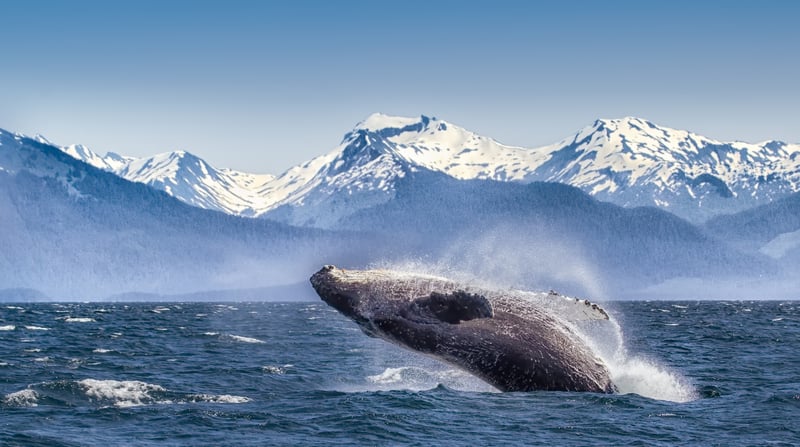 Alaska1