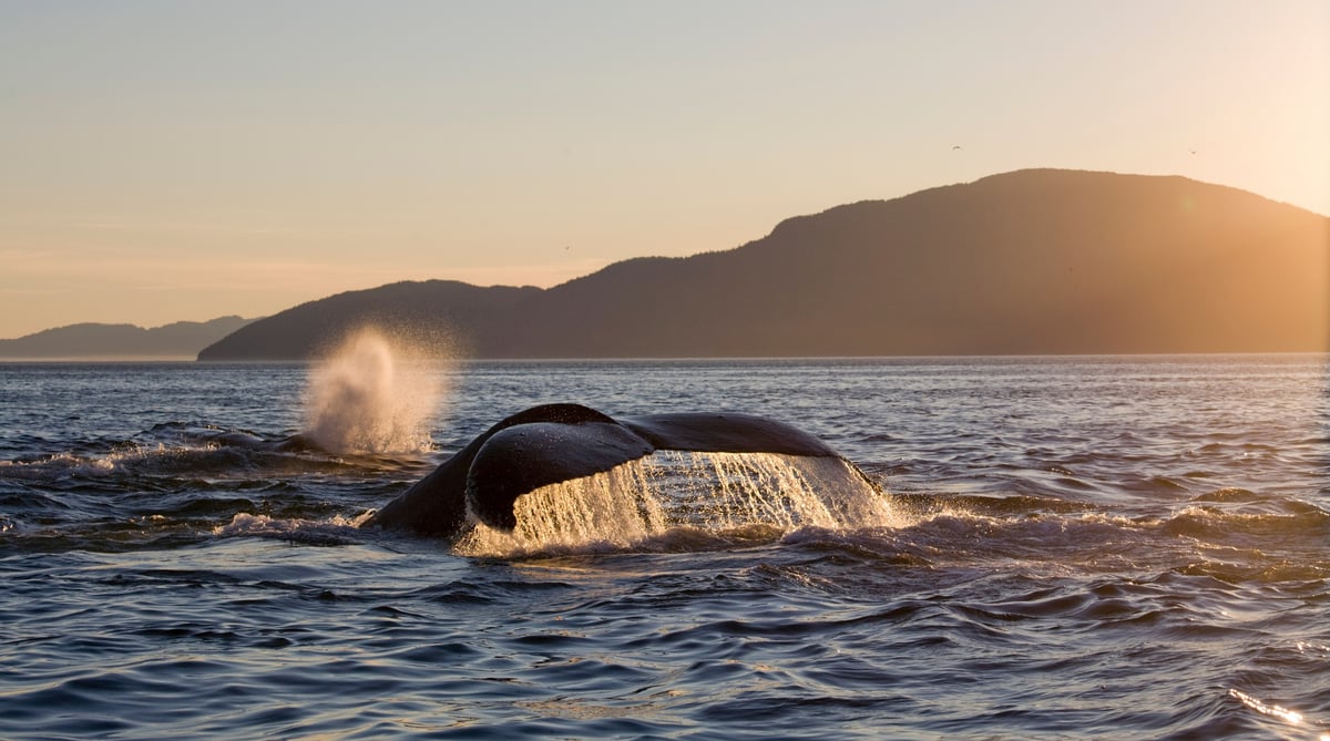 Alaska (1)