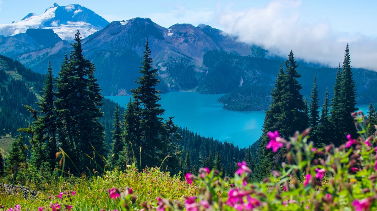 shutterstock_391849615 - Whistler