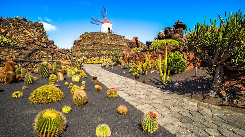 Canarische Eilanden - Lanzarote - Cactus Gardens