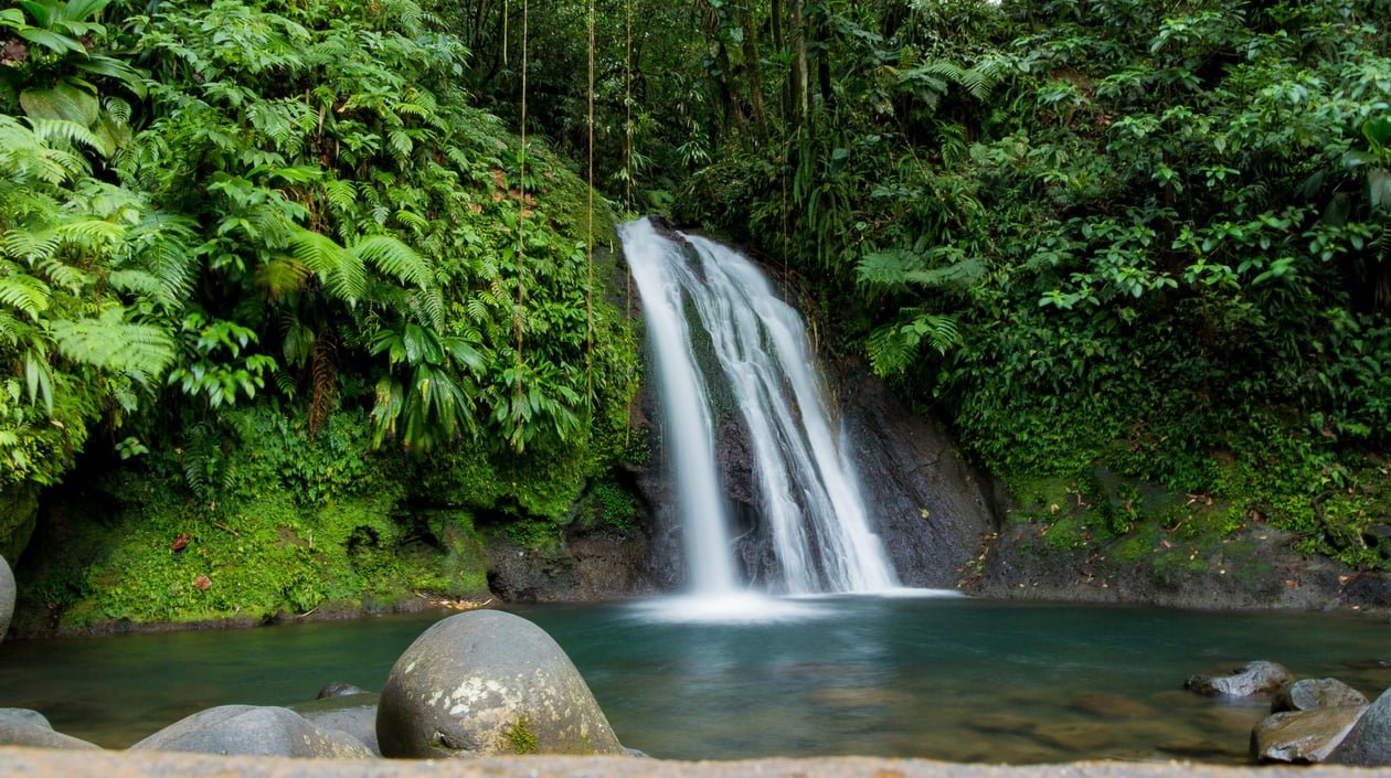 Guadeloupe3