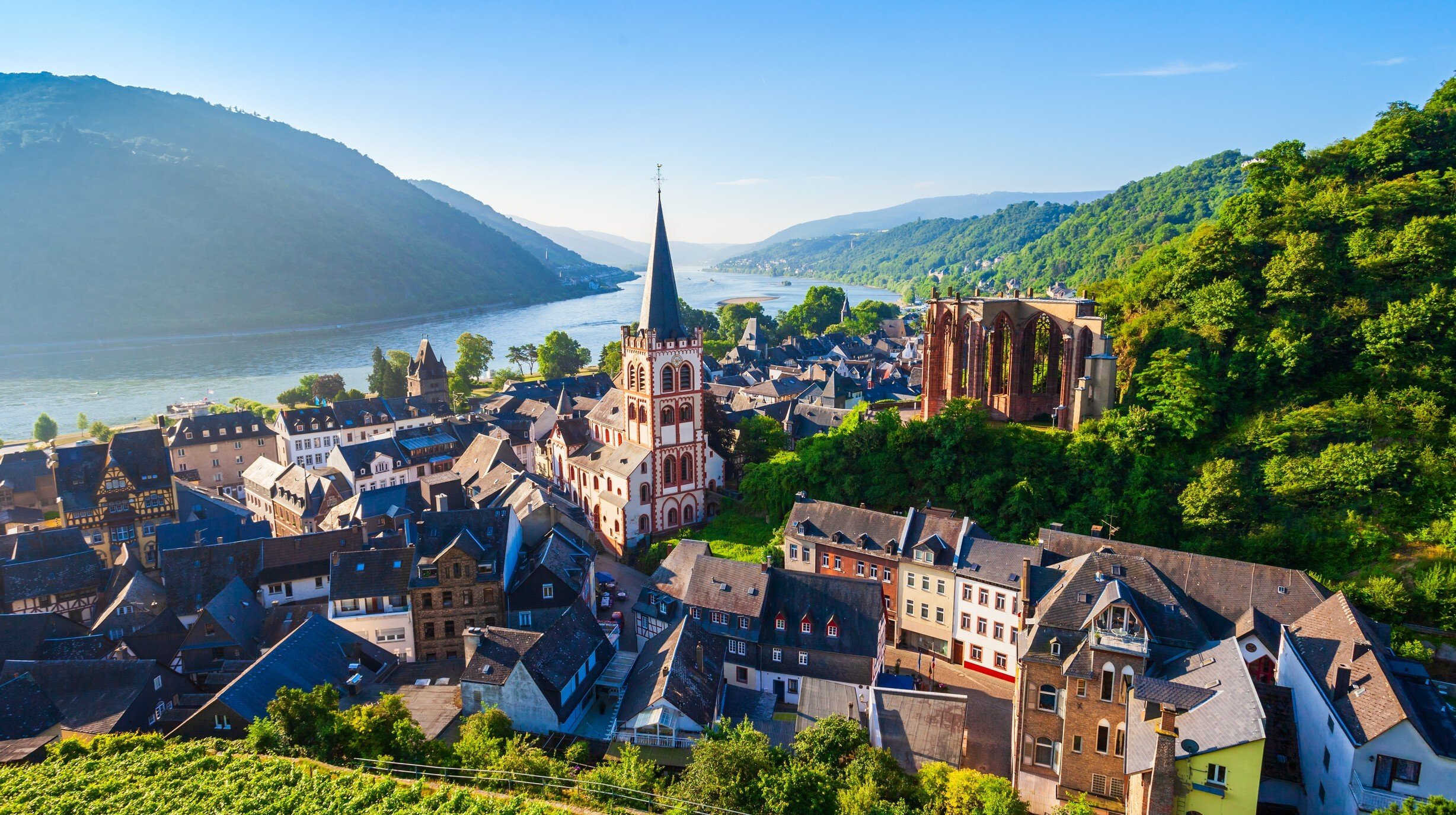 Bacharach (2)