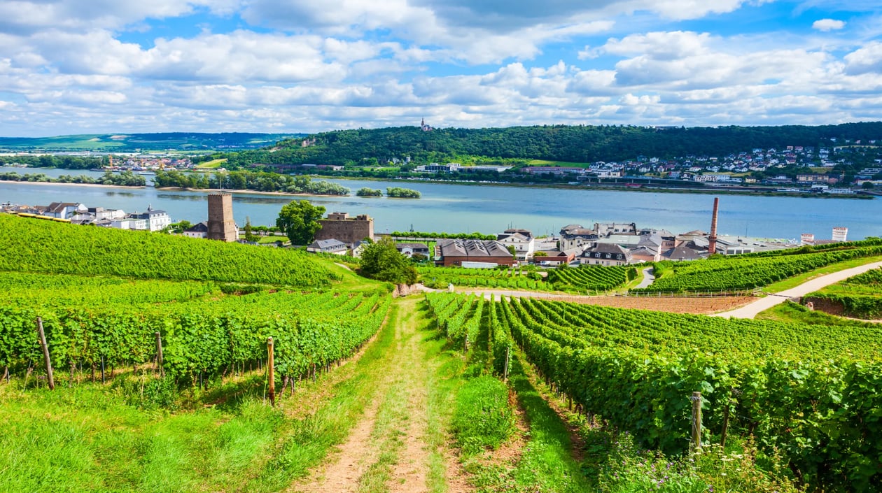 2020 Rudesheim am Rhein