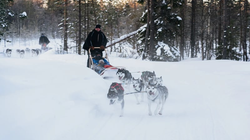 APUKKA HUSKY ADVENTURE 3