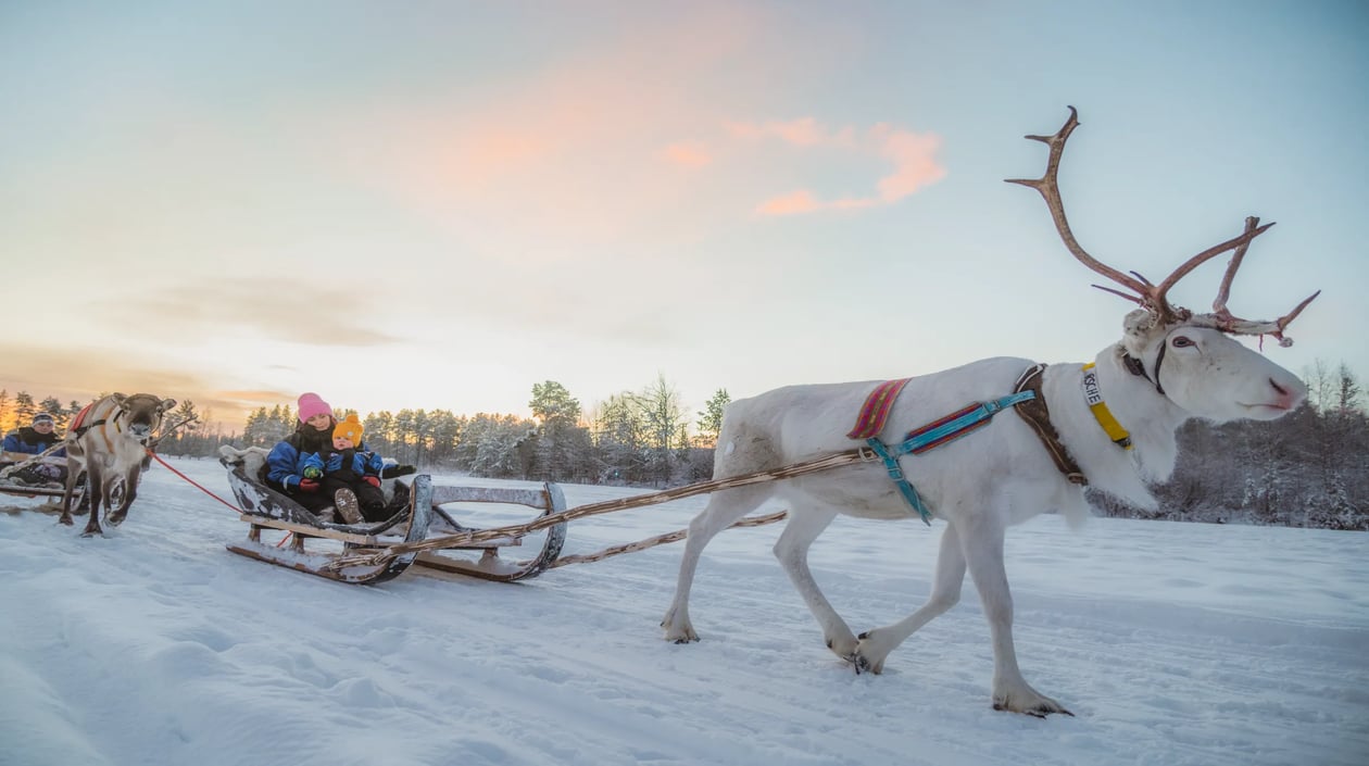 Reindeer Sleigh Ride in Apukka Resort Rovaniemi Lapland Finland (7)
